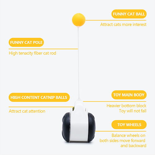 长沙亚马逊宠物用品图片设计制作 赋能外贸电商的视觉营销策略